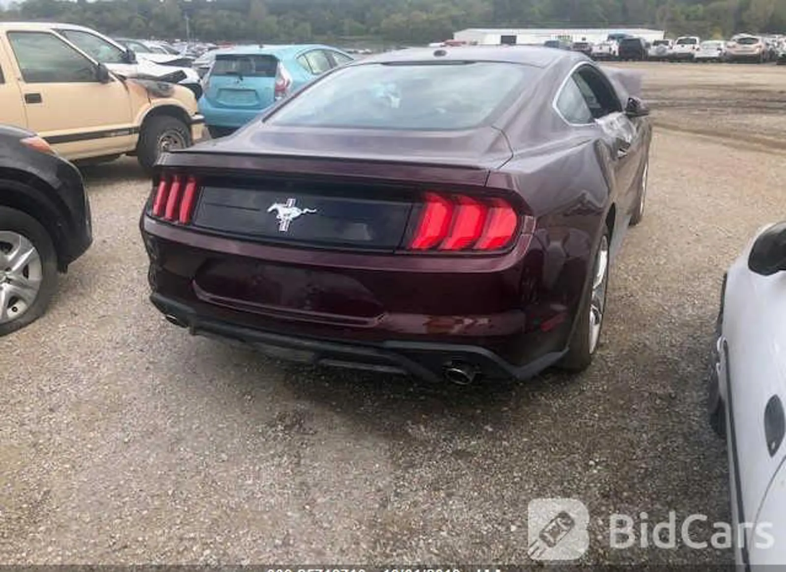 FORD MUSTANG 2.3L (READY CAR)